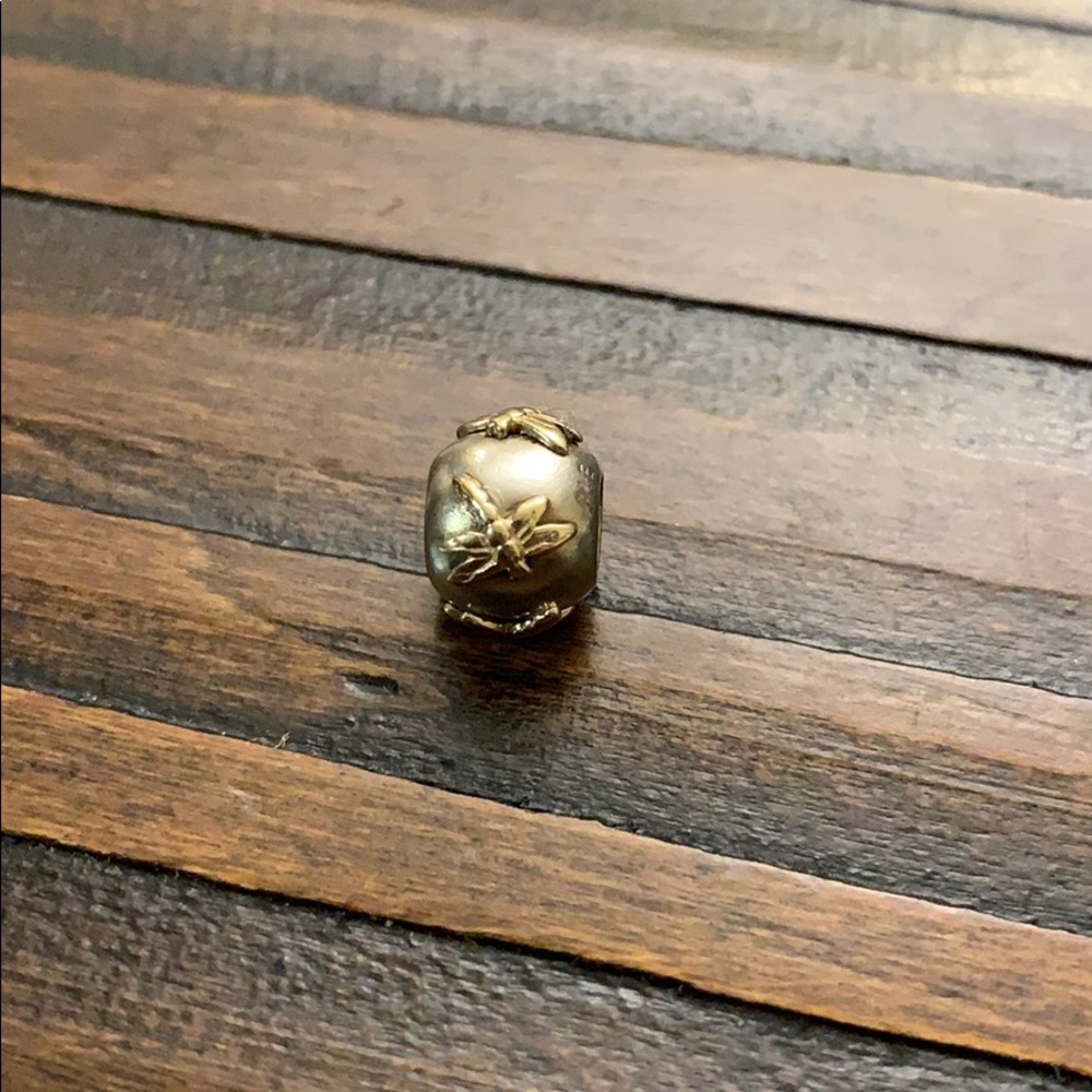 Rare discontinued pandora dragonfly charm